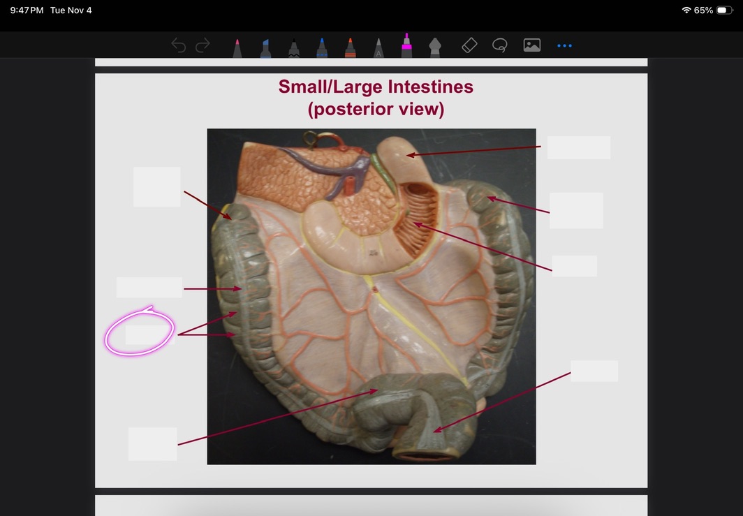 <p>What is this?</p>