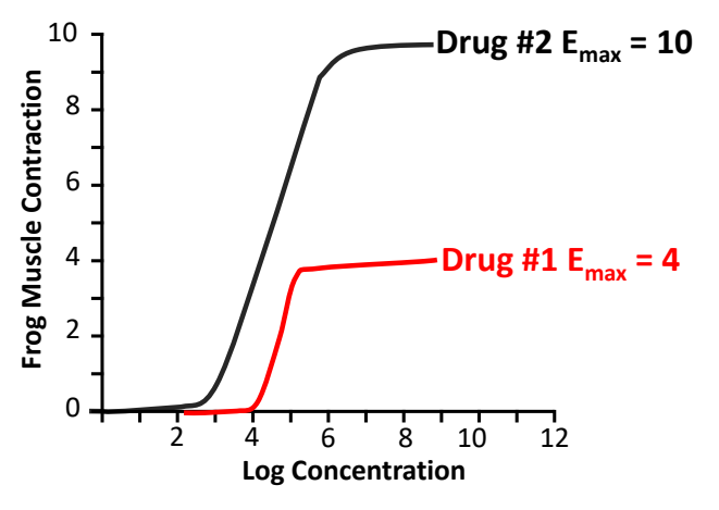 <ul><li><p><strong>ability of a ligand-receptor complex to elicit a biological response</strong></p></li><li><p>measured by the maximal response elicited by a receptor (E<sub>max</sub>)</p></li></ul><p></p>