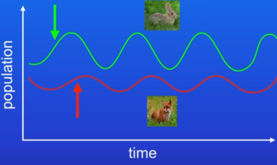 <p>Graph of predator and prey populations in a community explained</p>