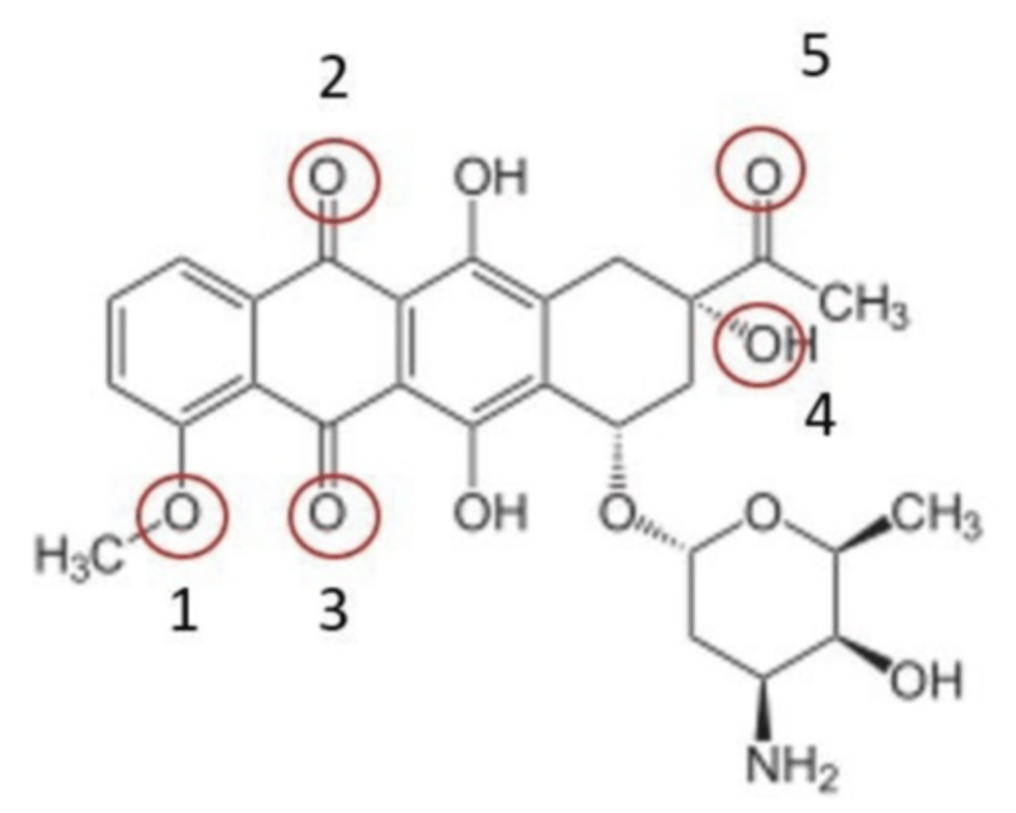 <p>Which circled oxygens are not part of the 9,10-anthraquinone pharmacophore?</p>