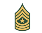 <p>Army E-9</p>