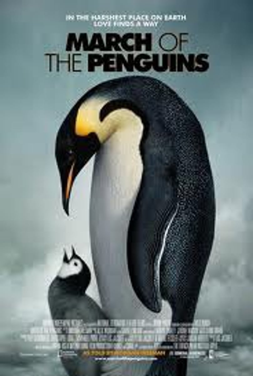 <p>Un documentaire</p>