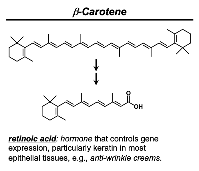 <p>ß-carotene is a tetraterpene (4 monoterpenes = 8 isoprenes = 40 carbons) and is the precursor to retinoic acid, which is Vitamin A</p>