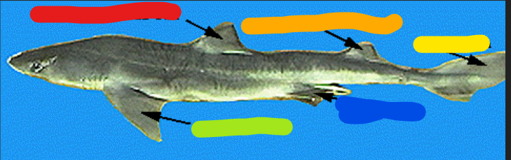<p>What is the green?</p>