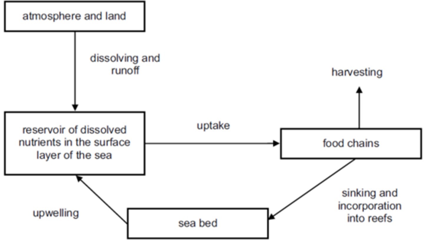 knowt flashcard image