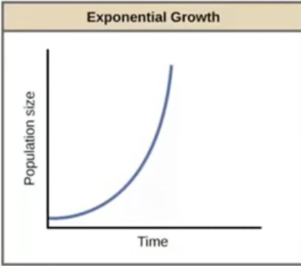 <ul><li><p>rapid, unrestricted growth</p></li><li><p>resources are available</p></li><li><p>nothing limits population’s growth</p></li><li><p>Ex. bacterial growth and when organisms are first introduced into a new area</p></li></ul>