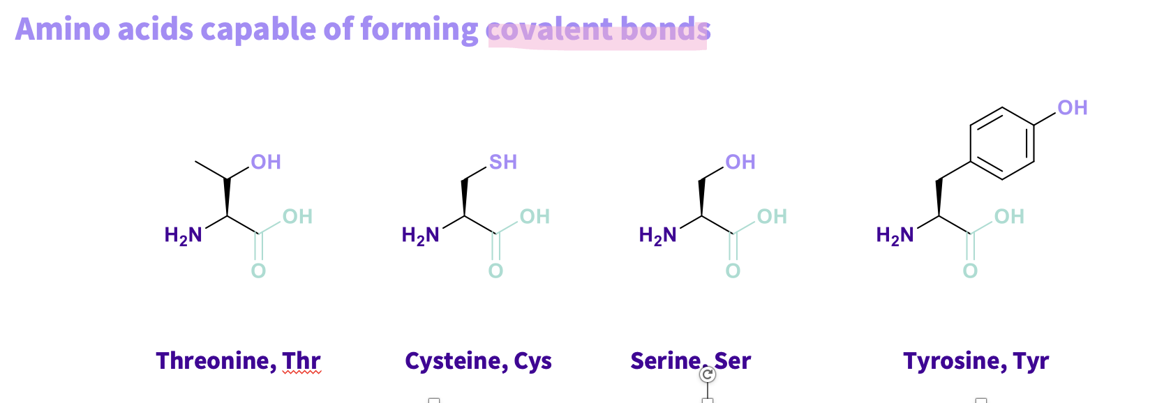 <p><span style="font-family: &quot;Source Sans Pro&quot;;"><strong>Threonine, Thr&nbsp;</strong></span></p><p><span style="font-family: &quot;Source Sans Pro&quot;;"><strong>Cysteine, Cys</strong></span></p><p><span style="font-family: &quot;Source Sans Pro&quot;;"><strong>Serine, Ser</strong></span></p><p><span style="font-family: &quot;Source Sans Pro&quot;;"><strong>Tyrosine, Tyr</strong></span></p><p><span style="font-family: &quot;Source Sans Pro&quot;;"><strong>all have&nbsp;&nbsp;</strong></span><span>alcohol and thiols they can lose hydrogens ,turned into a nucleophile , to form a covalent bond (STRONGEST BONDS)</span></p><p style="text-align: left;"><span>Note - Directional – between two molecules</span></p>