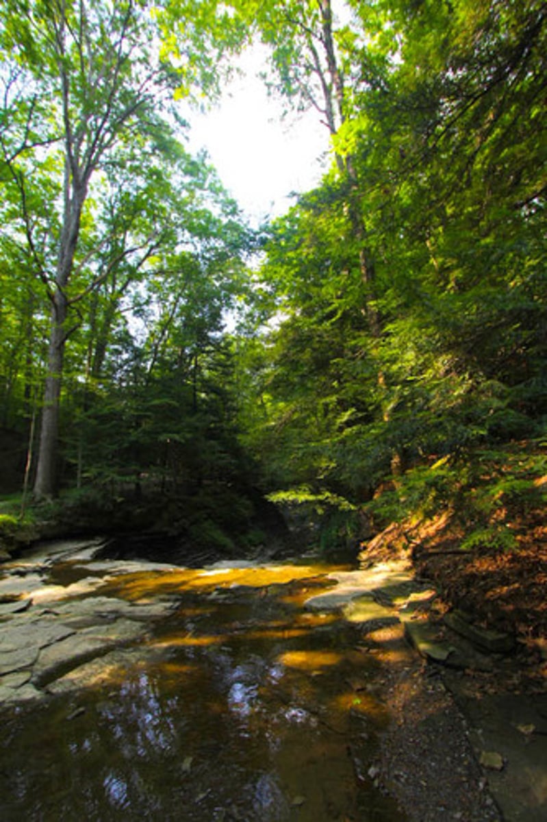 <p>Ohio</p>