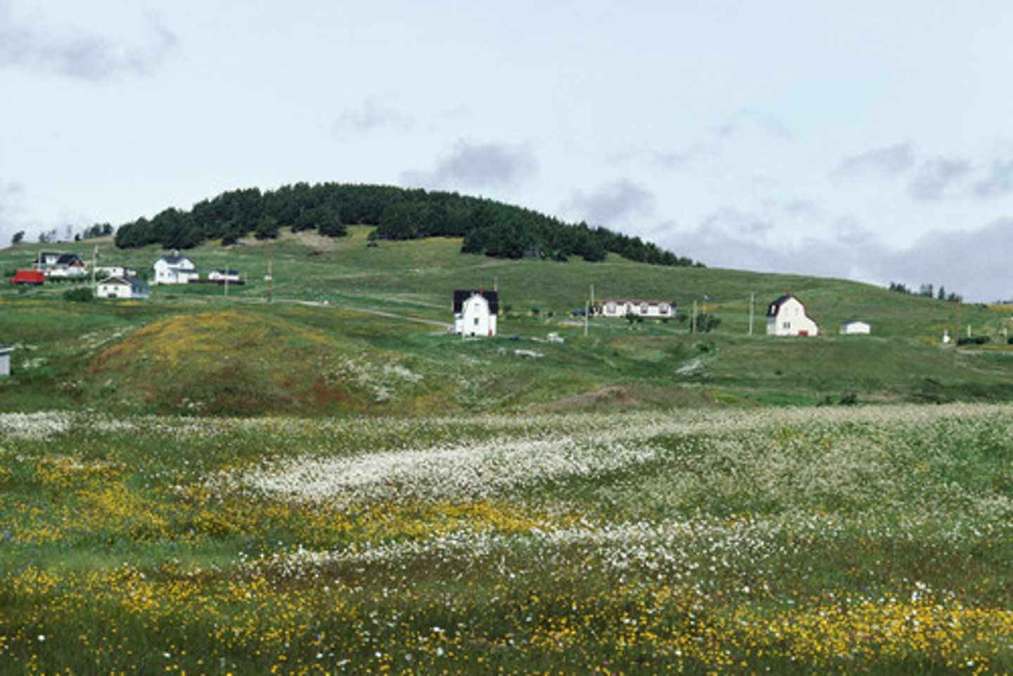 <p>xiāng xià - countryside</p>
