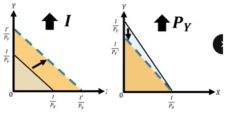 <ul><li><p>Shift or Rotation of the Budget Line</p></li><li><p>Some old choices are lost.</p></li></ul><p></p>