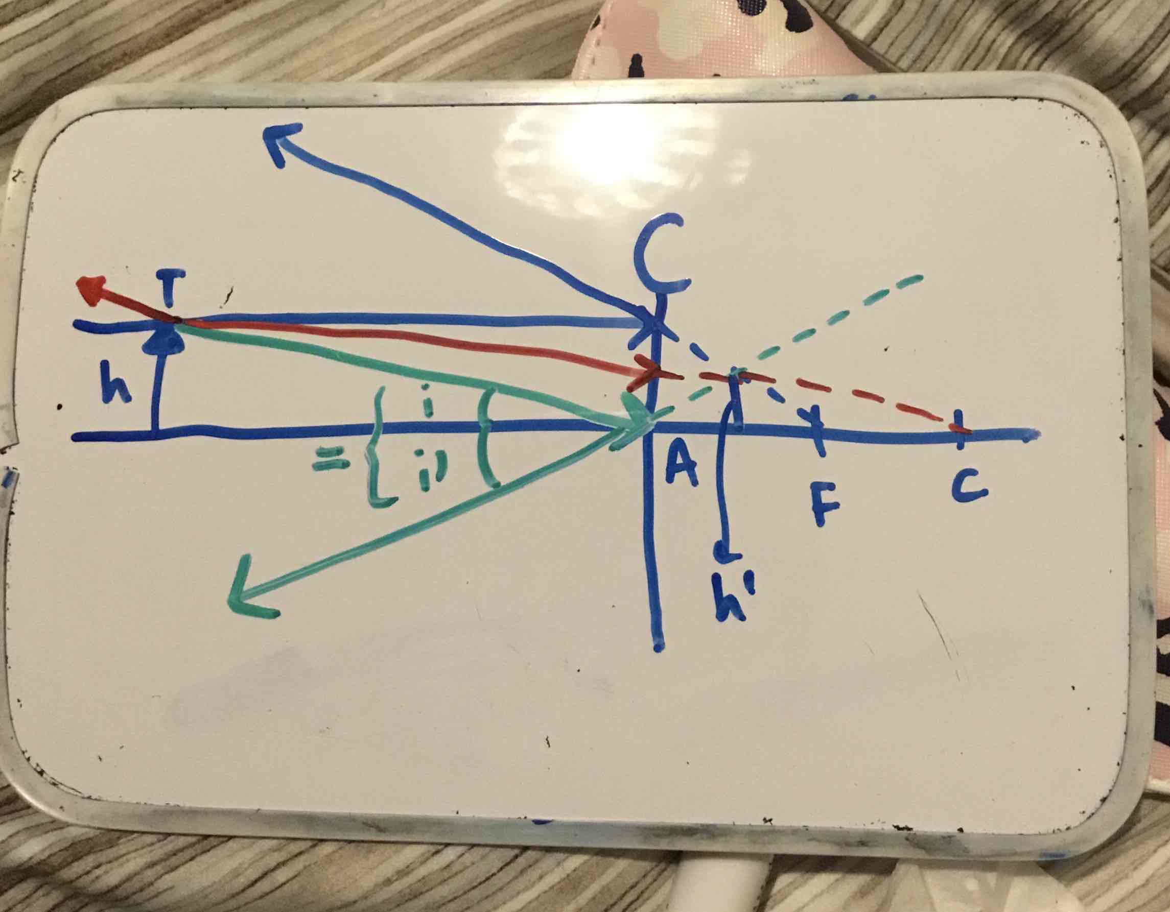 <p>explain the path of light rays (3) in a graphical construction drawing to produce an image in a CONVEX mirror</p>