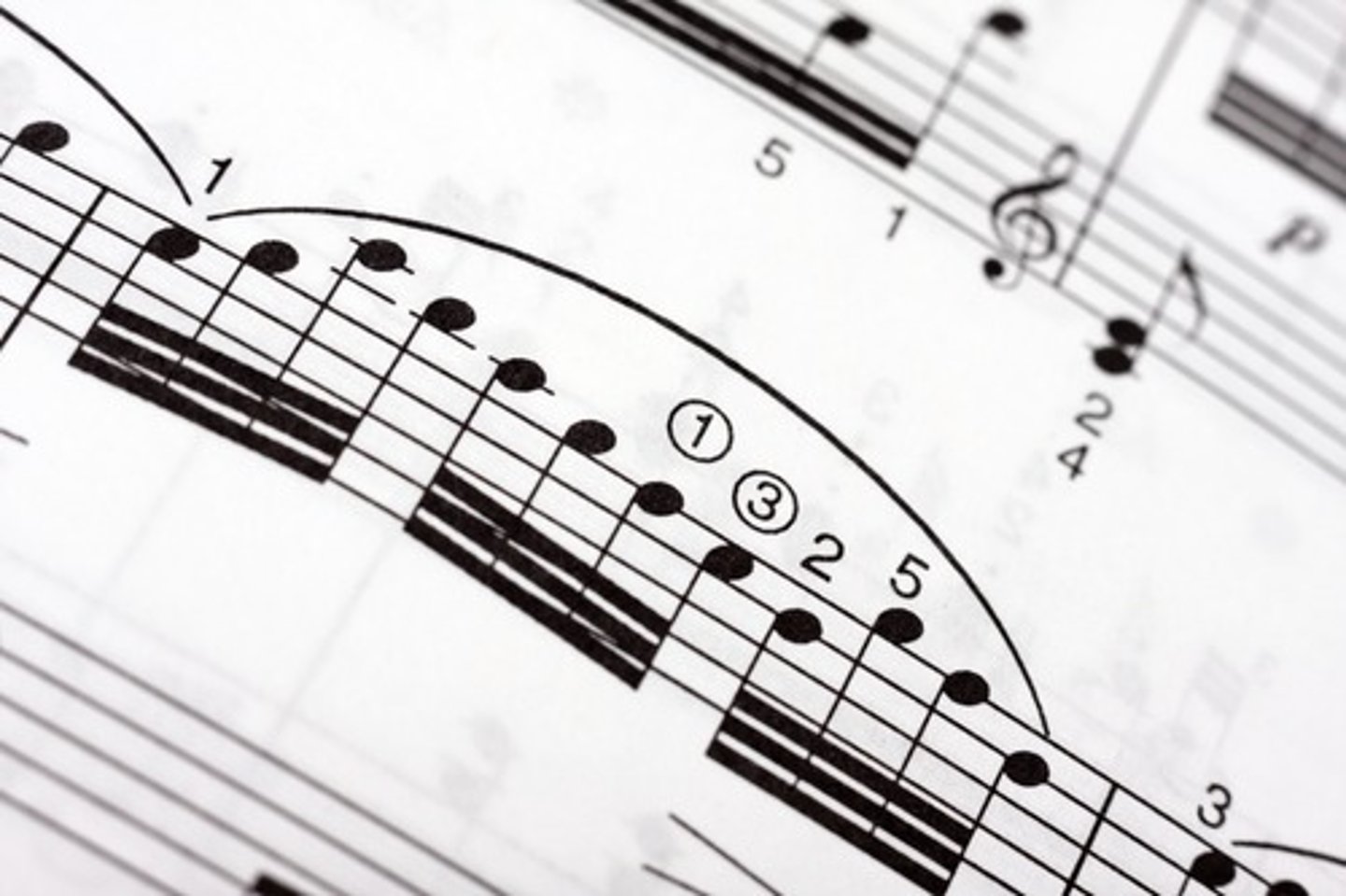 <p>song</p>