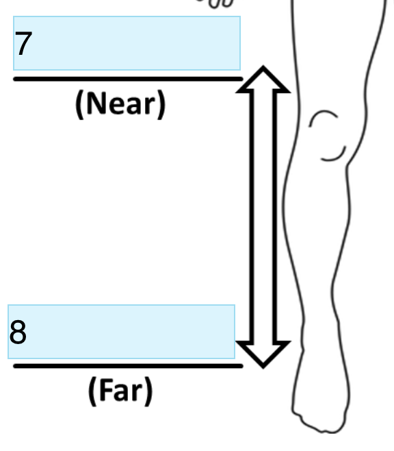 <p>Identify Directional term In 7</p>