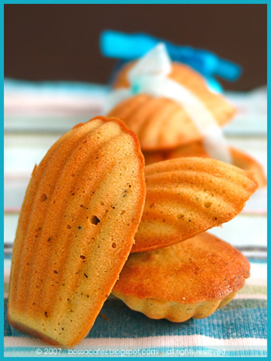 <p>madeleine: a type of French cookie that looks like a seashell</p>