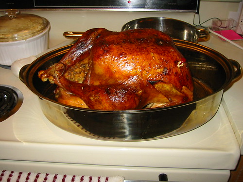 <p>turkey</p>