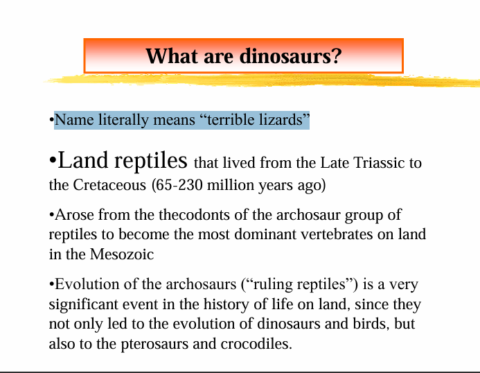 <p>Dinosaurs</p><p></p><p>Remember that the term dinosaurs is not used for the flying reptiles (pterosaurs) Nor is the term “dinosaurs” used for the large marine reptiles that lived during that time</p>