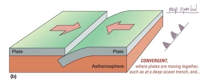 <ul><li><p>subduction zones</p></li></ul><p></p>