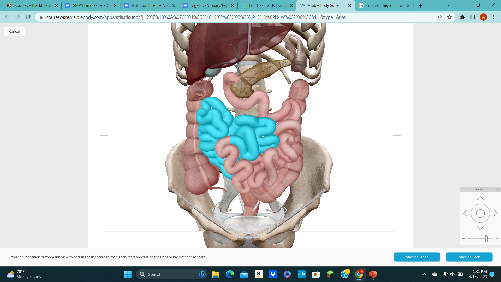knowt flashcard image
