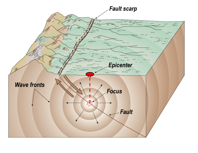 <ul><li><p>Take place most often at conservative plate boundaries where two plates slide past each other rather than away or towards each other - but can happen at all types</p></li><li><p>Those with the highest magnitudes occur at destructive plate boundaries where subduction takes place - tend to be less frequent</p></li><li><p>Occurs when the fault suddenly releases stored stress</p></li><li><p>When stress is released from the focus of the fault - seismic waves transfer the energy in all direction</p></li><li><p>Focus - area where stress is released</p></li><li><p>Epicentre - point directly above the focus and is where the energy on the surface will be greatest</p></li><li><p>Seismic waves = move away from the focus</p></li></ul>