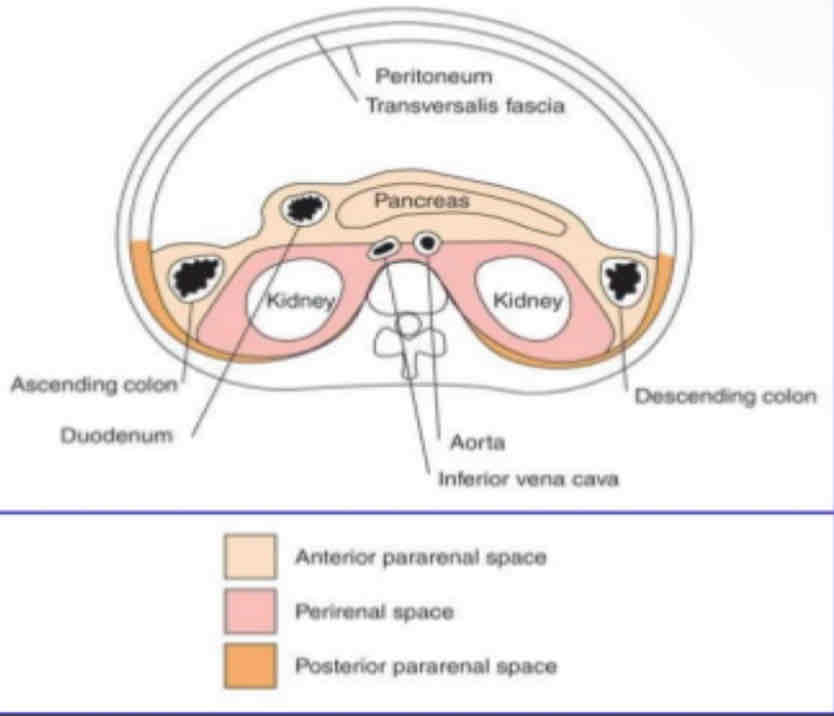 <p>What is the following picture?</p>