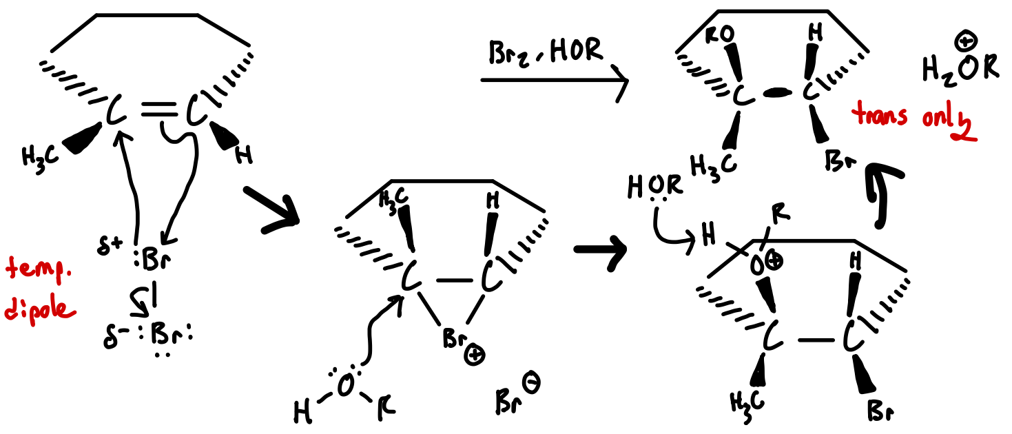 <p>9.5. - Markovnikov Addition of Br and OR to an Alkene</p>