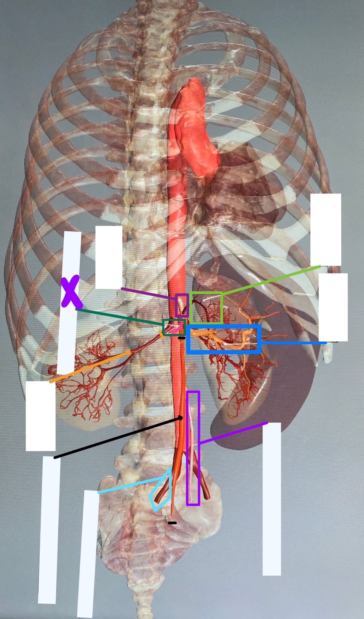 knowt flashcard image