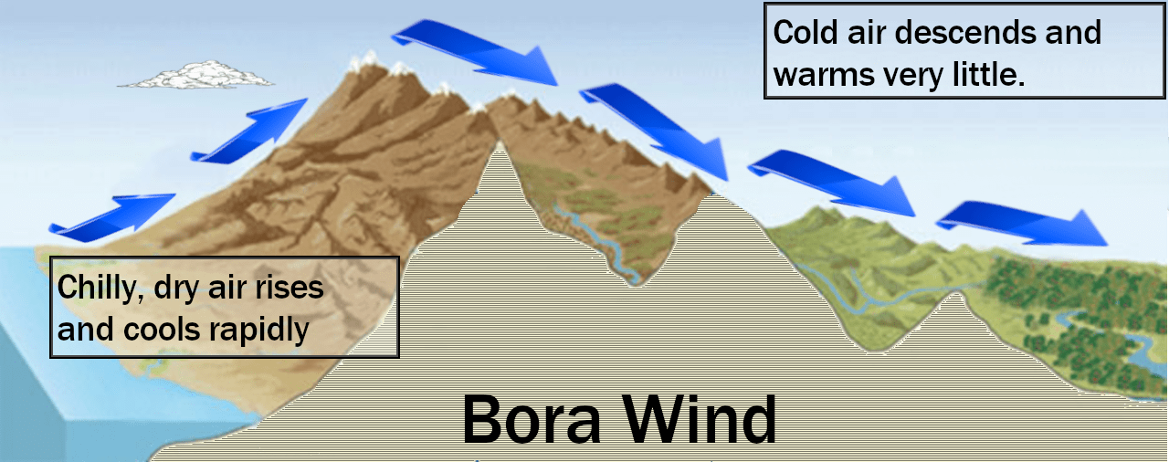<ul><li><p>Bora = Northeast wind blowing in the upper Adriatic Sea</p></li><li><p>Mistral = blows through the Rhône valley into the Mediterranean</p></li><li><p>Taku = Southeast Alaska</p></li></ul><p></p>