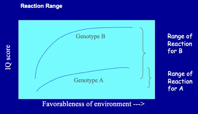 <p>Imagine two people with different genotypes. The reaction range principle says that even in the same environment, the person with genotype A will never reach the height of the person with genotype B. If the person with genotype A is raised in the most favorable environment and the person with genotype B in the least favorable one, genotype A may end up taller. A factor influencing this could be access to nutrition.</p>