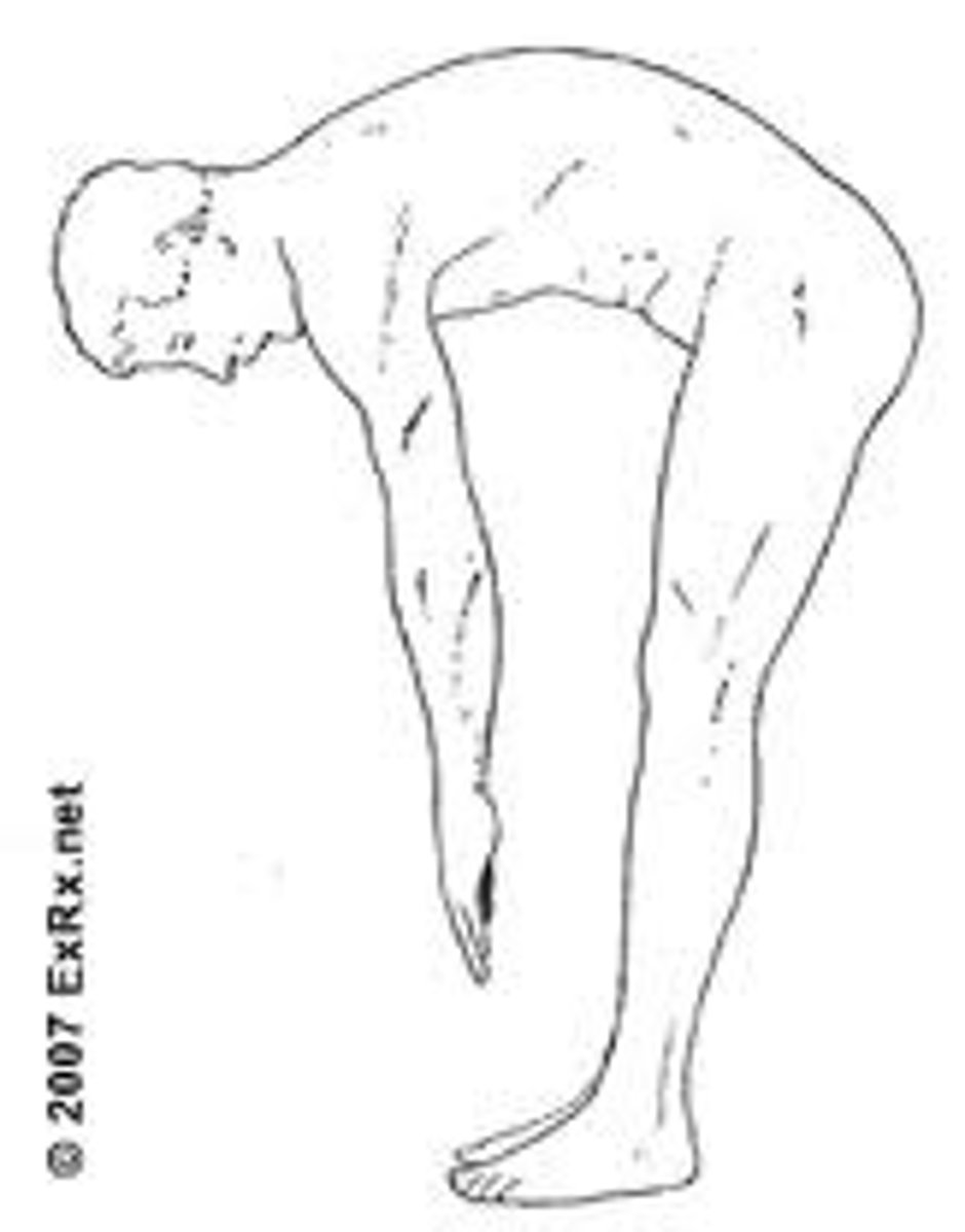 <p>superior vertebra will anterior tilt and forward glide</p><p>*intervertebral foramina widens</p><p>**compressive forces on anterior aspect of disc, tensile forces posterior</p><p>***central canal widened</p>