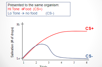 <p>an organism learns to respond differently to stimuli that have been paired with different USs</p>