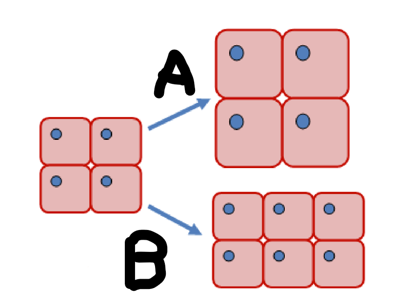 the picture is displaying two types of cell growth. A is ____ . B is ________ .