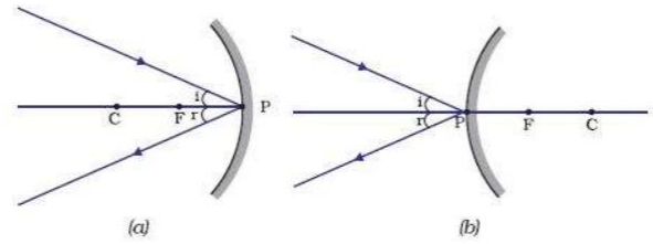 (a) Concave                                 (b) Convex
