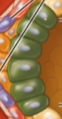 <p>what is this?</p>
