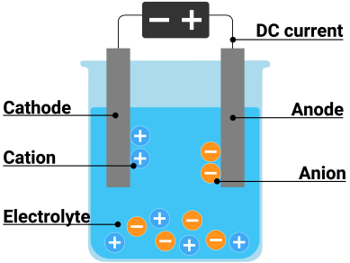 <p>the molten or aqueous substance that undergoes electrolysis</p>