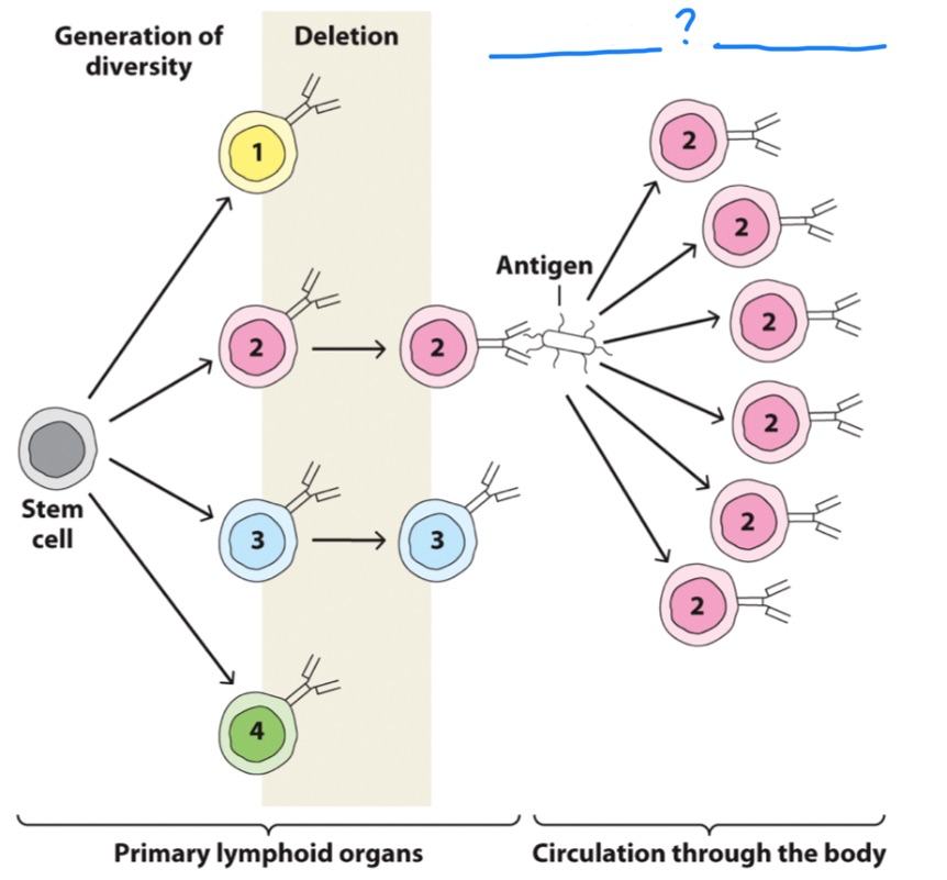 <p>Name of process</p>