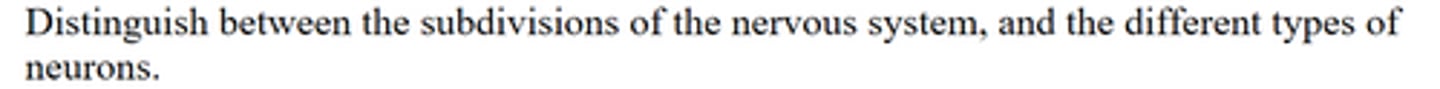 <p>Distinguish between the different types of neurons.</p>