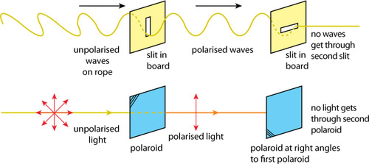 <p>A polarising filter absorbs the waves that are not in the orientation/plane that it filters light through (some still passes) however it will completely block out light in a plane perpendicular to the filter's plane.</p>