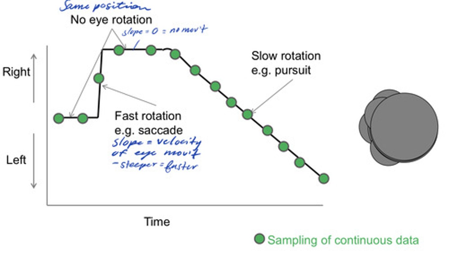 <p>on a graph with time on x-axis and horizontal or vertical eye position on y-axis</p>