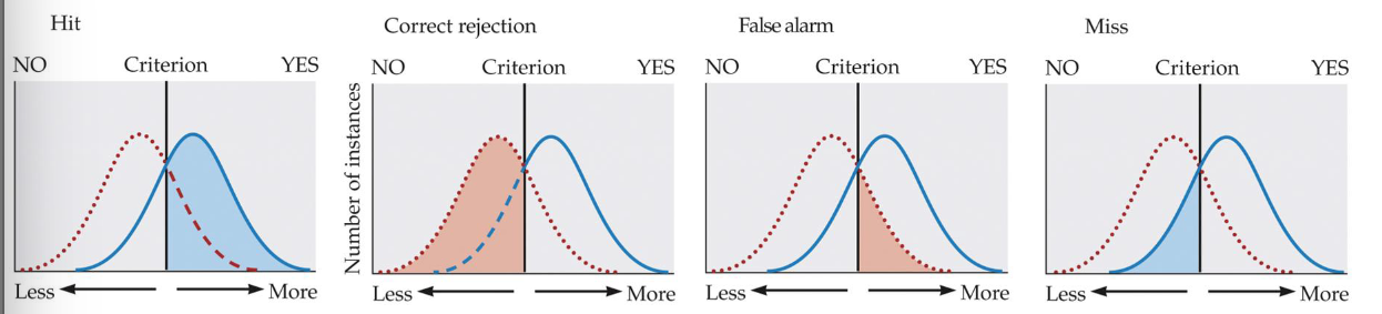 <p>Our ability to detect a signal amongst noise</p><p>Accounts for the amount of noise, the discriminability of the signal, and biases in the person’s response patterns</p><p>Important to know the signal strength, noise, and criterion, and how they shift</p>