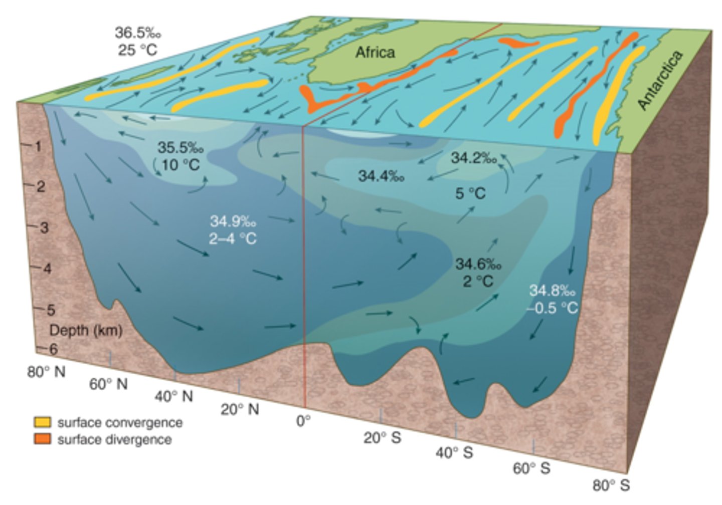 <p>34.9%: North Atlantic Deep Water</p><p>35.5%: Mediterranean Outflow Water</p><p>At top: Surface Water</p><p>34.6%: Antarctic Immediate Water</p><p>34.8%: Antarctic Bottom Water</p>