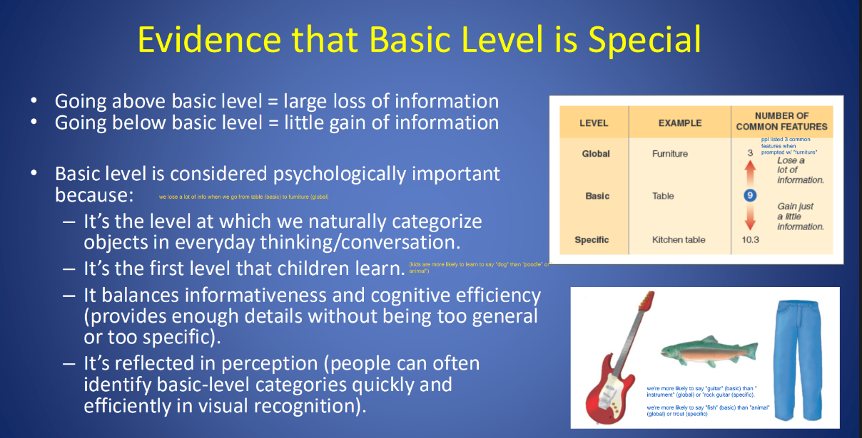 <p><strong>Hierarchical Organization: </strong>Larger, more general categories can be divided into smaller, more specific categories.</p><ul><li><p>The level that is most important, depends on the person’s knowledge. Experts are more likely to name things at the ‘specific’ level - while novices name @ ‘basic’ level.</p></li></ul><p></p>