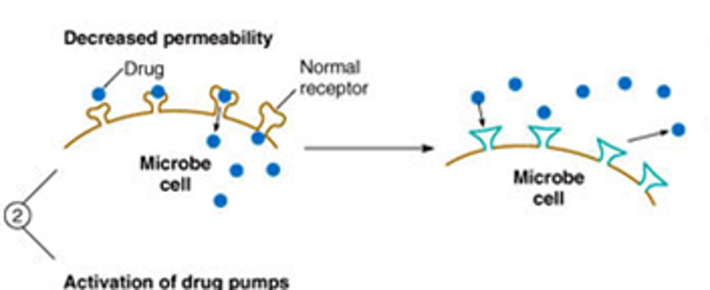 <p>microorganism blocks drug from entering cell</p>