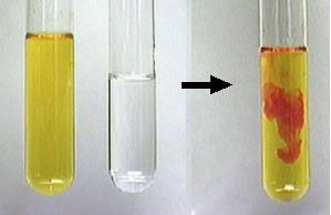 <p>What kind of change is an unexpected color change</p>