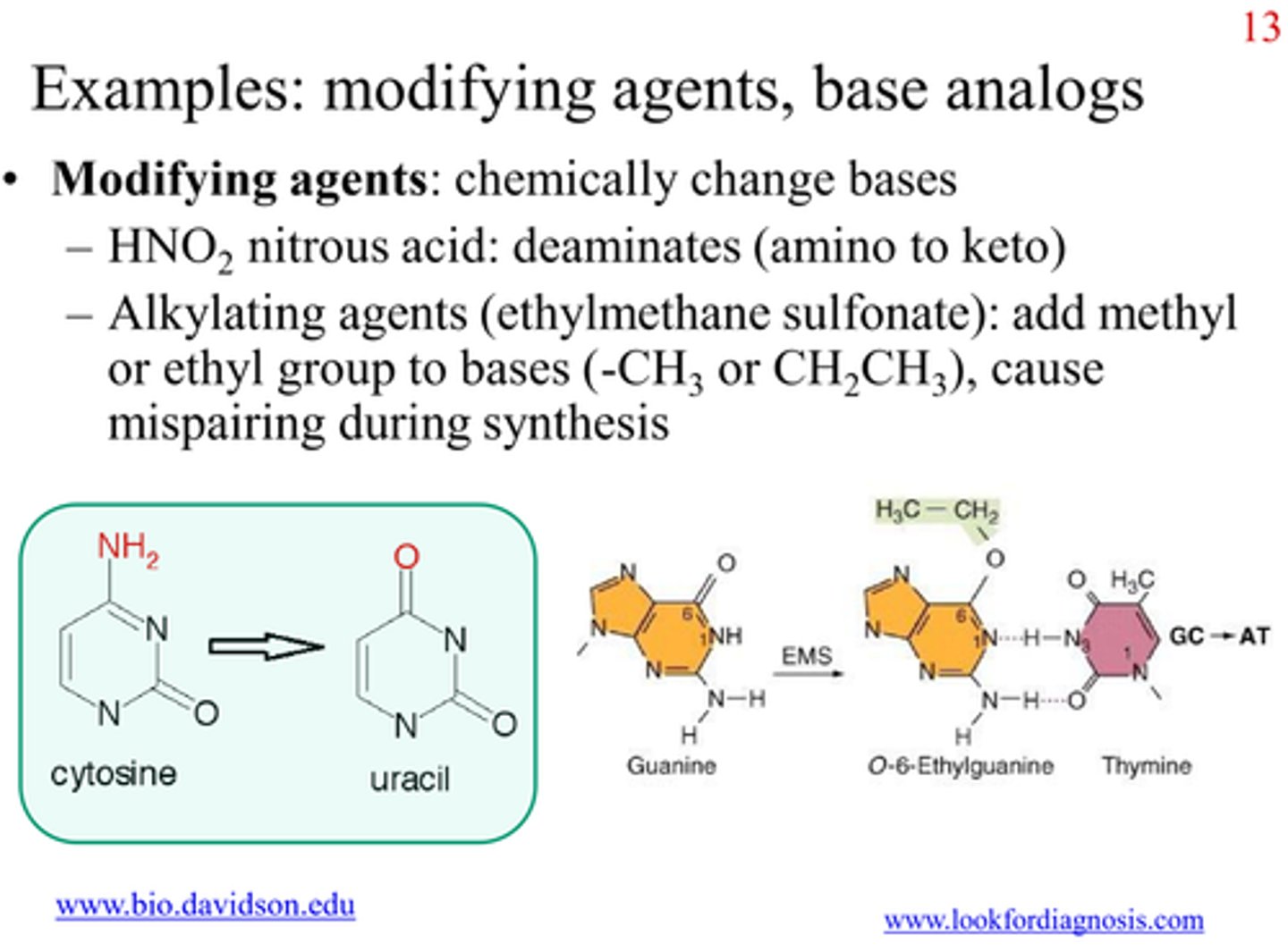 <p>Chemicals which modify bases by adding or removing functional groups, changing their base-pairing properties<br><br>- e.g.<br>Hydroxylation<br>Alkylation<br>Deamination</p>