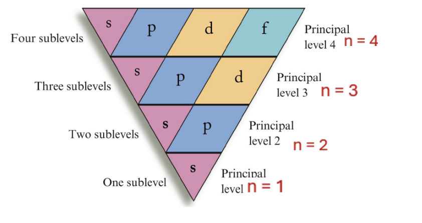 <p>angular momentum:</p><ul><li><p>specifies the shape of an orbital aka <strong>subshell</strong></p></li><li><p>for every principle shell (n), there are 1+ subshell</p></li></ul><p></p><p>4 diff subshells:</p><ol><li><p>s - “sharp”</p></li><li><p>p - “principle”</p></li><li><p>d - “diffuse”</p></li><li><p>f - “fundamental”</p></li></ol><p></p>
