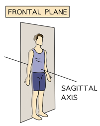 <p>runs from back to belly; associated with the frontal plane (movement around this axis includes abduction/adduction).</p>