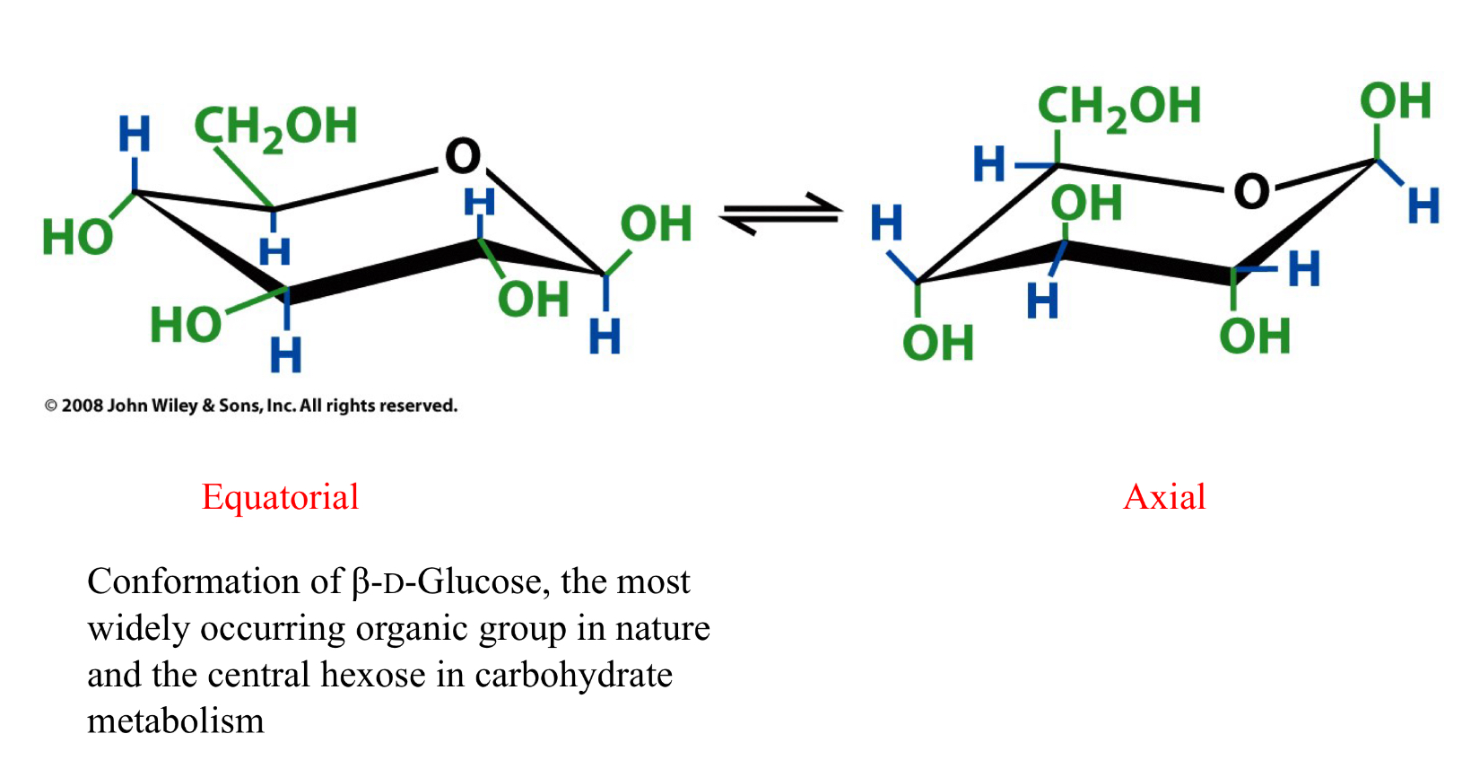 <p>Furanose and pyranose rings are NOT planar </p>