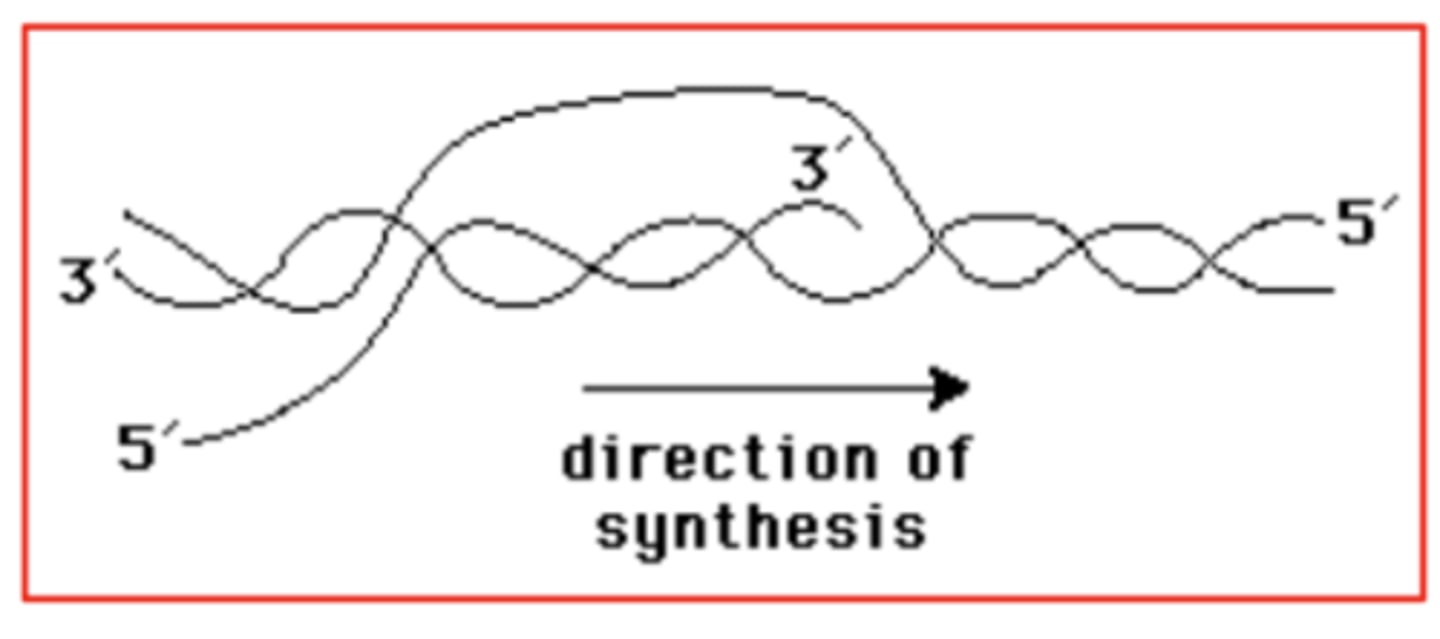 knowt flashcard image