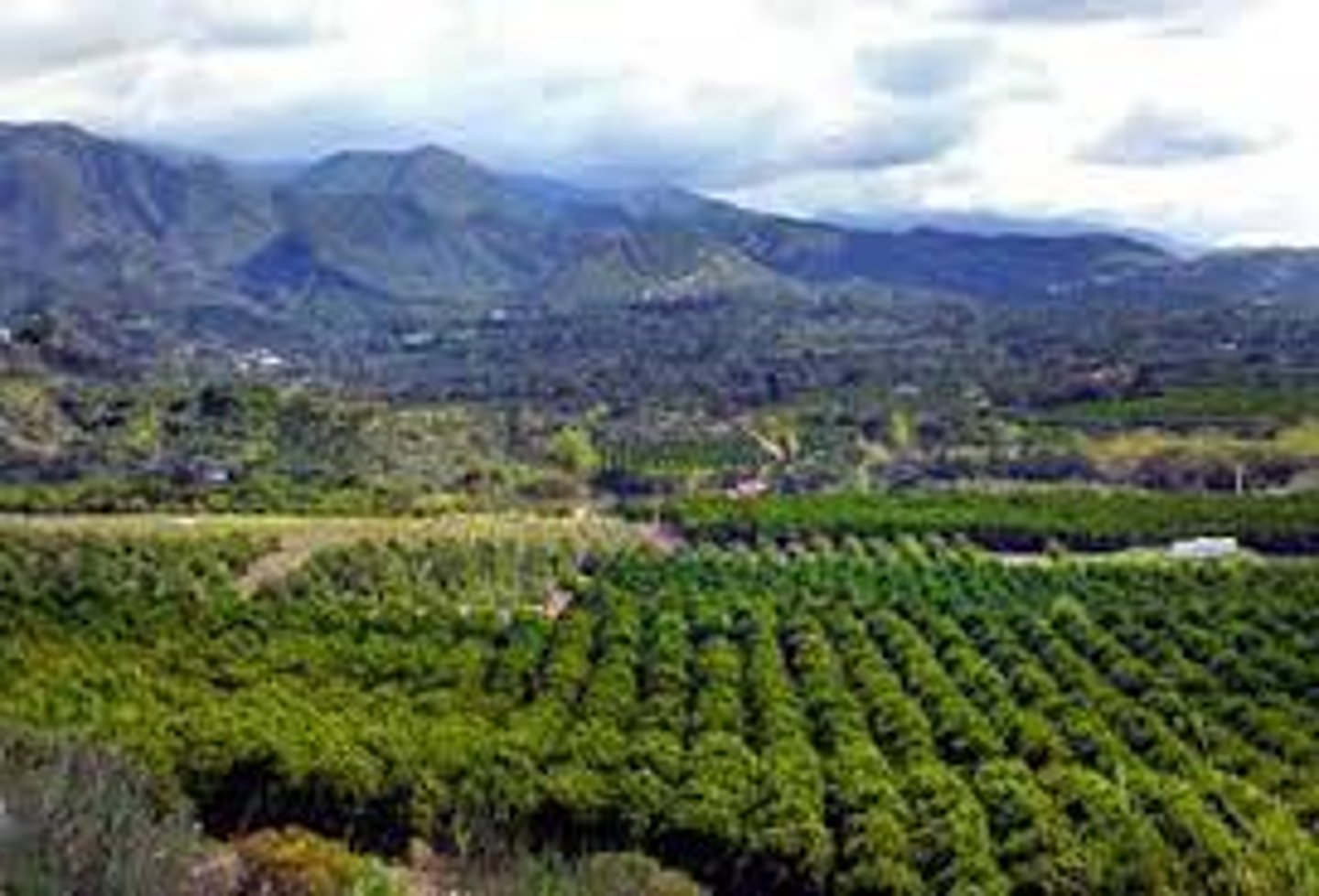 <p>fértil, que produce en abundancia</p>