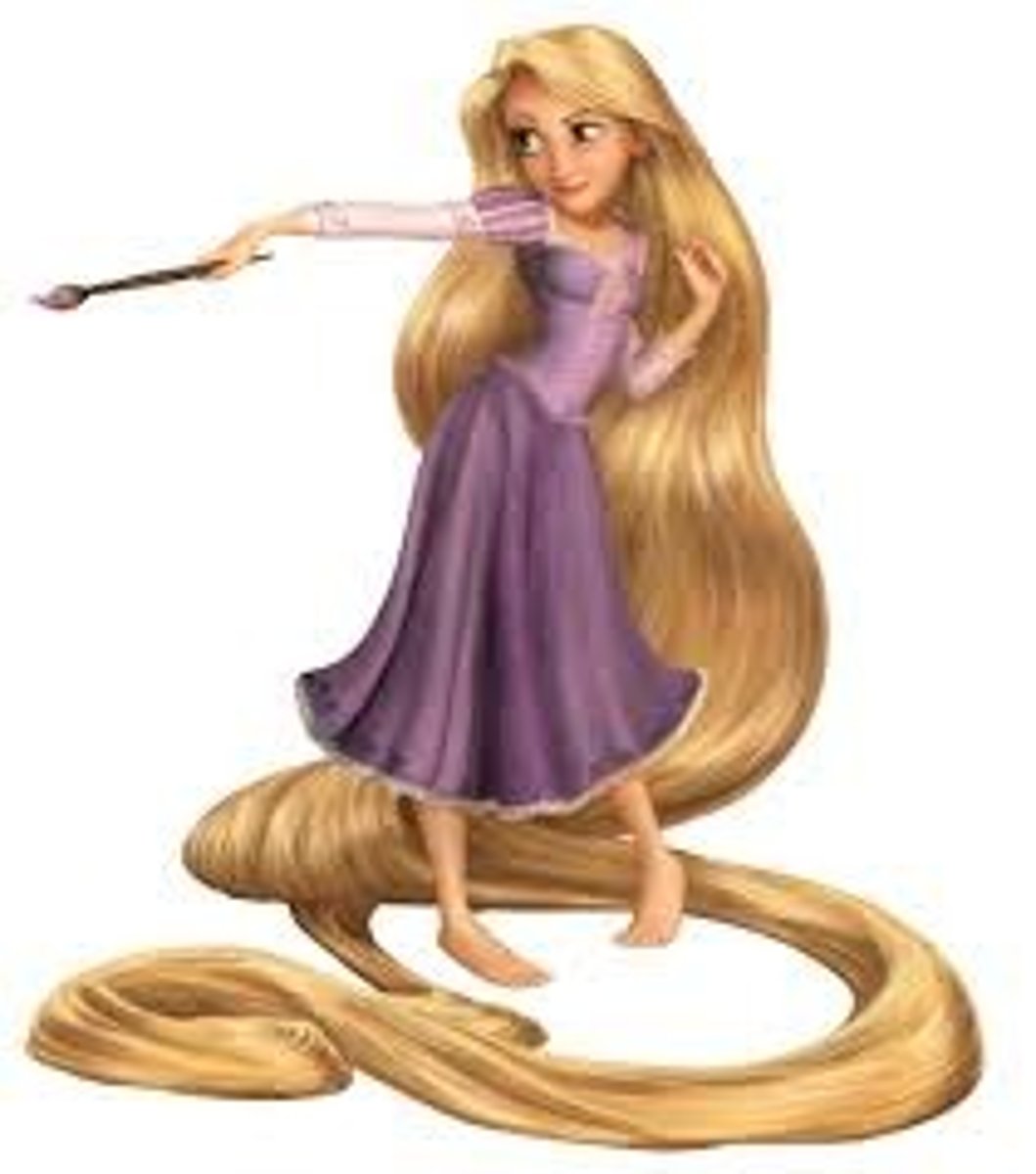 <p>Rapunzel has very long ________.</p>